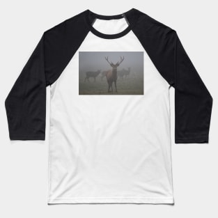 The Standoff (Deer In Fog) Baseball T-Shirt